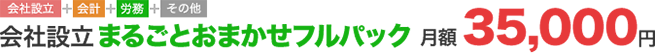 会社経営まるごとおまかせフルパック 月額35,000円